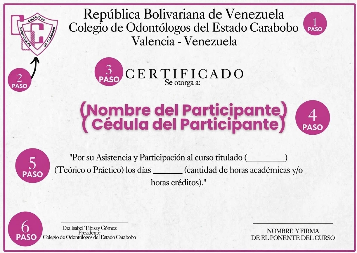 Imagen Adaptada al Contenedor